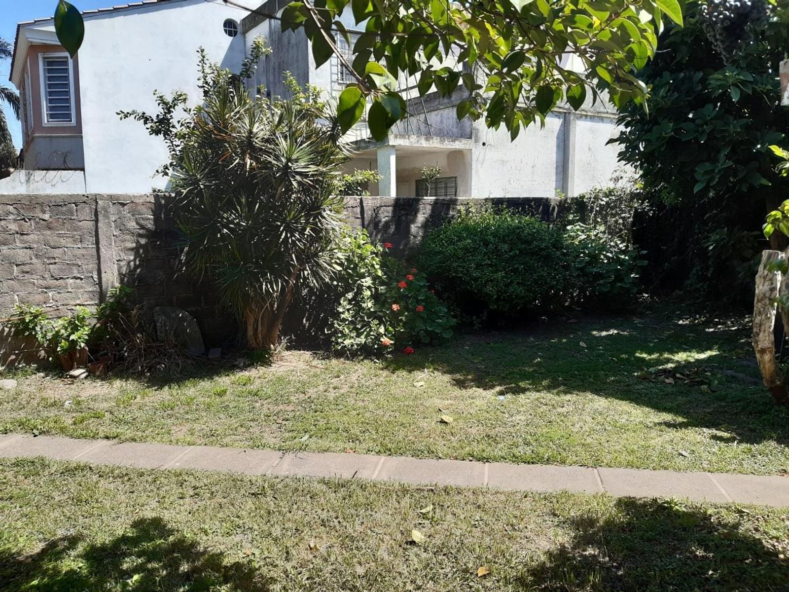 Foto 23
