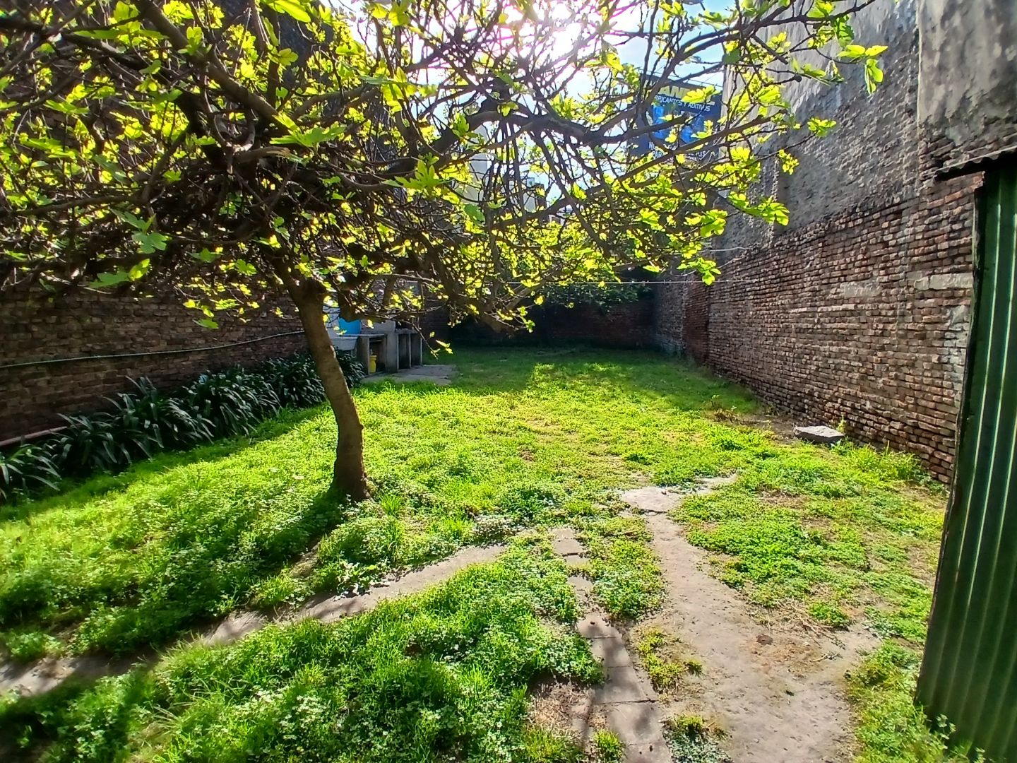 Foto 12