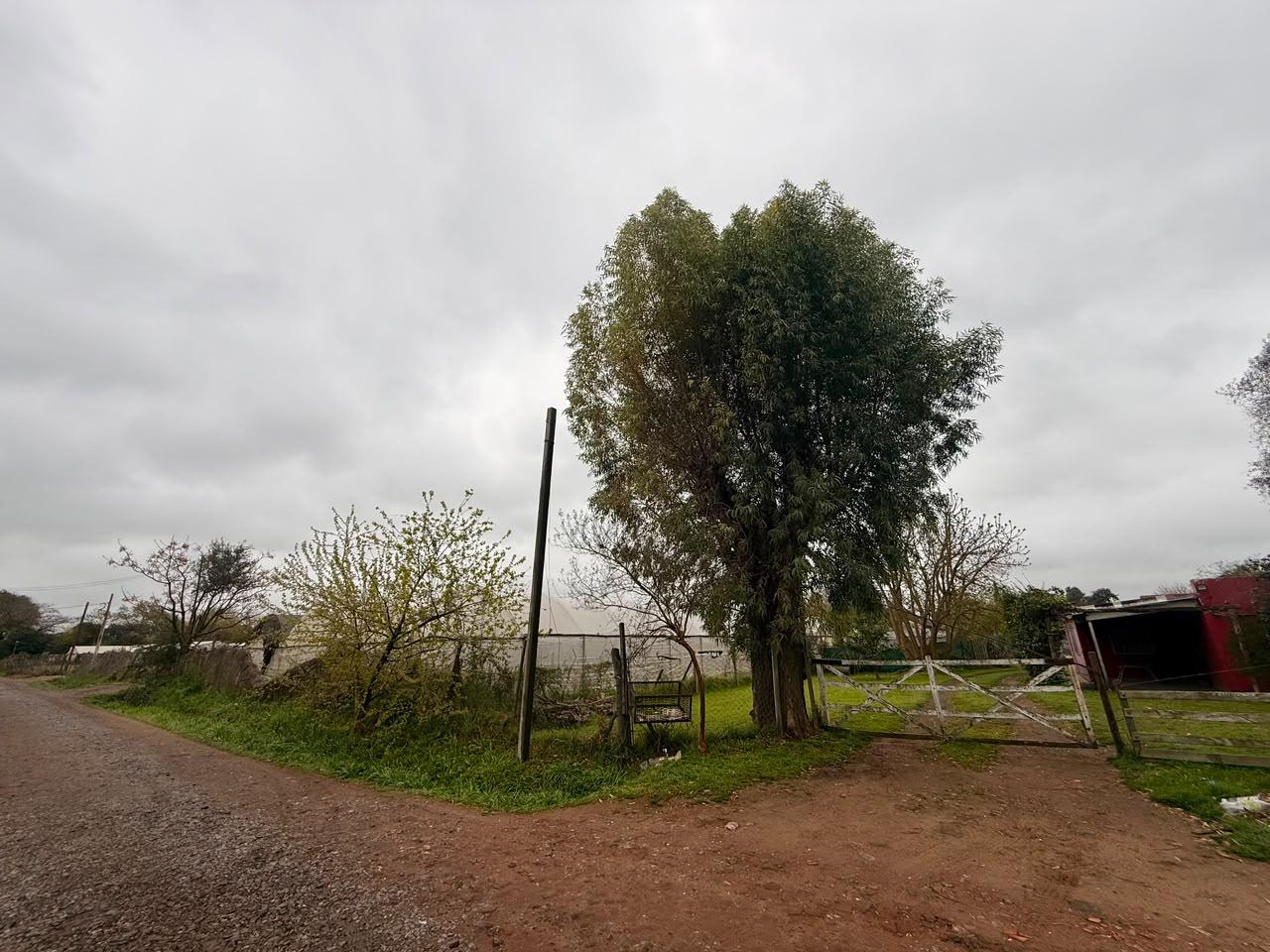Foto 16