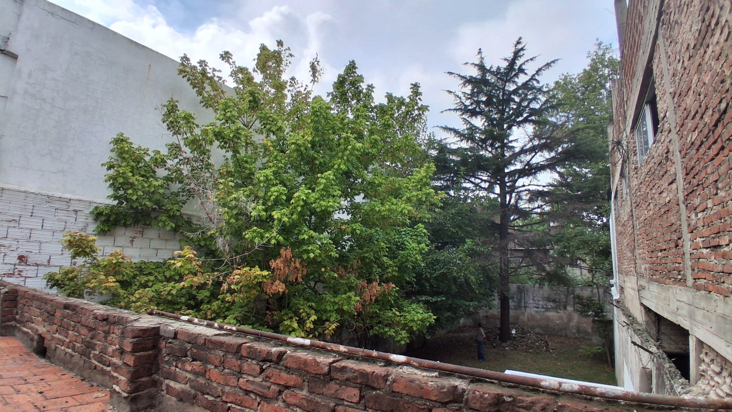 Foto 15