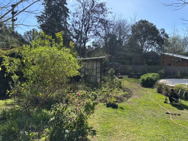 Foto 7