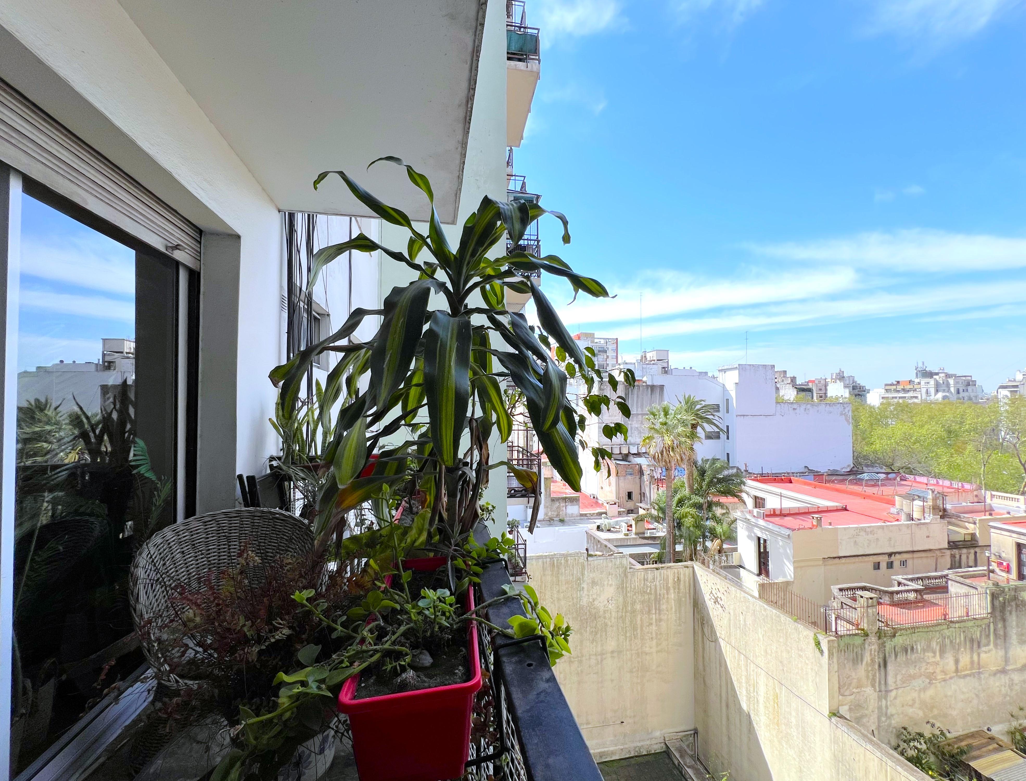 Foto 7