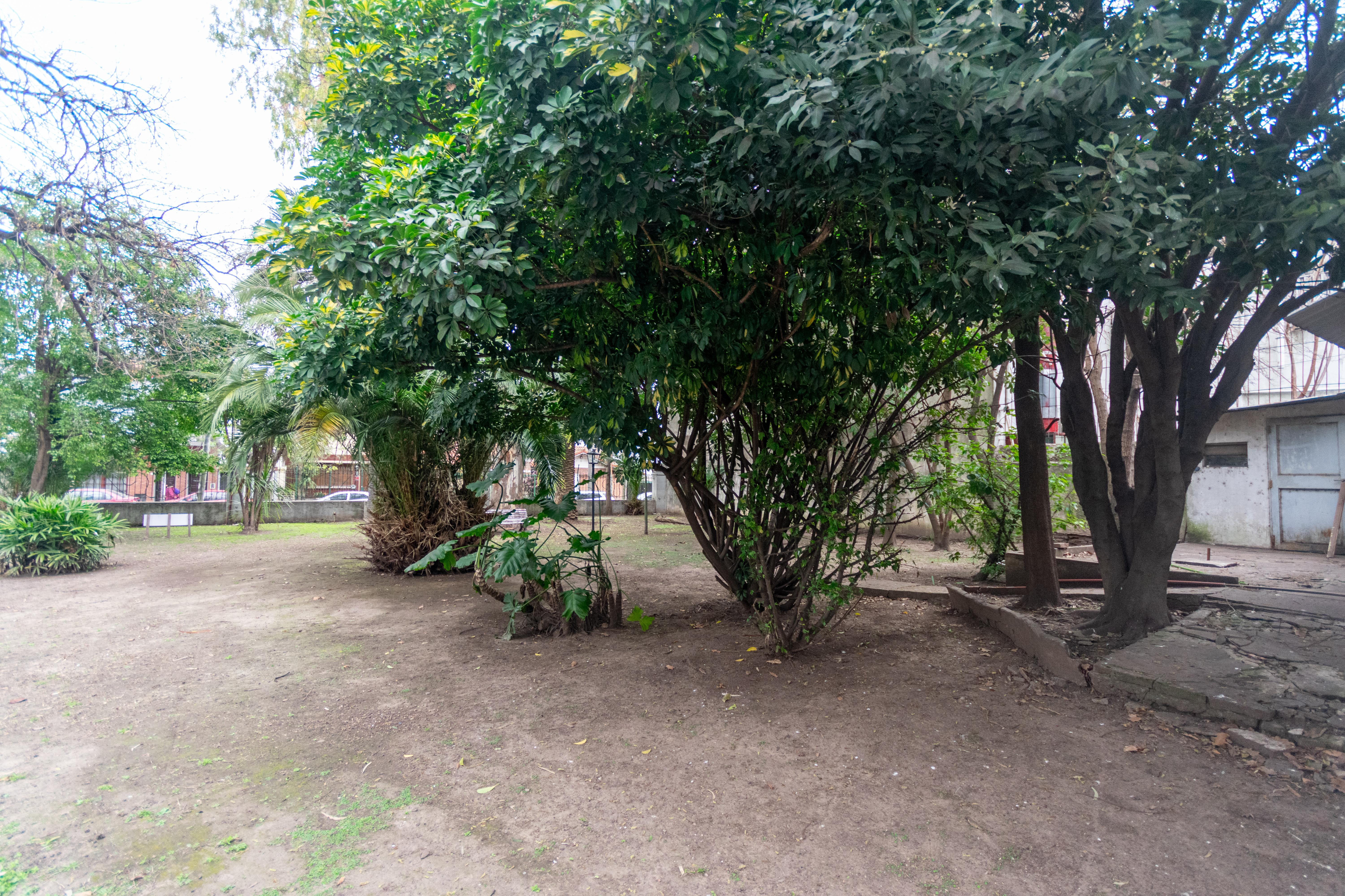 Foto 54