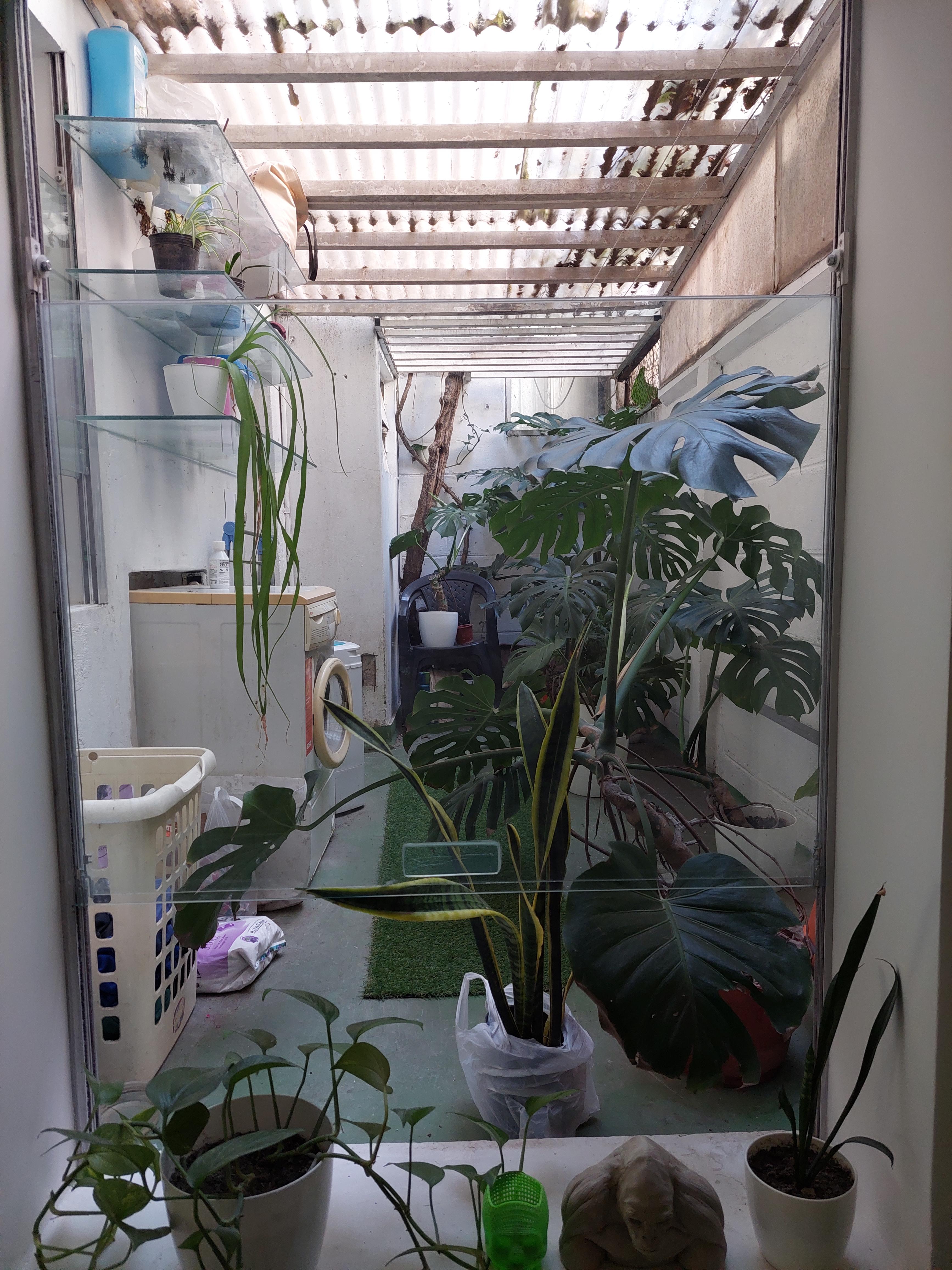 Foto 23