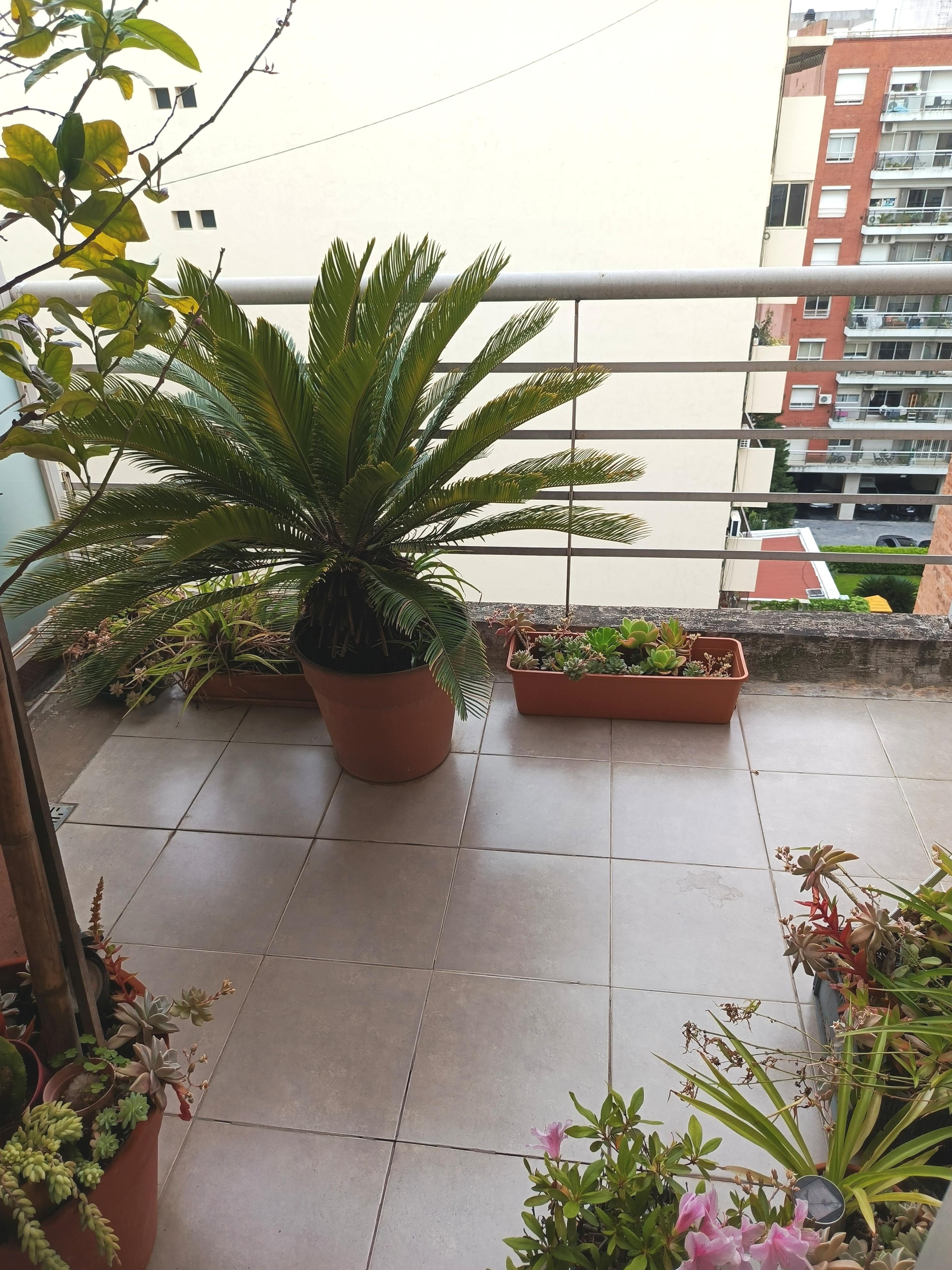 Foto 16