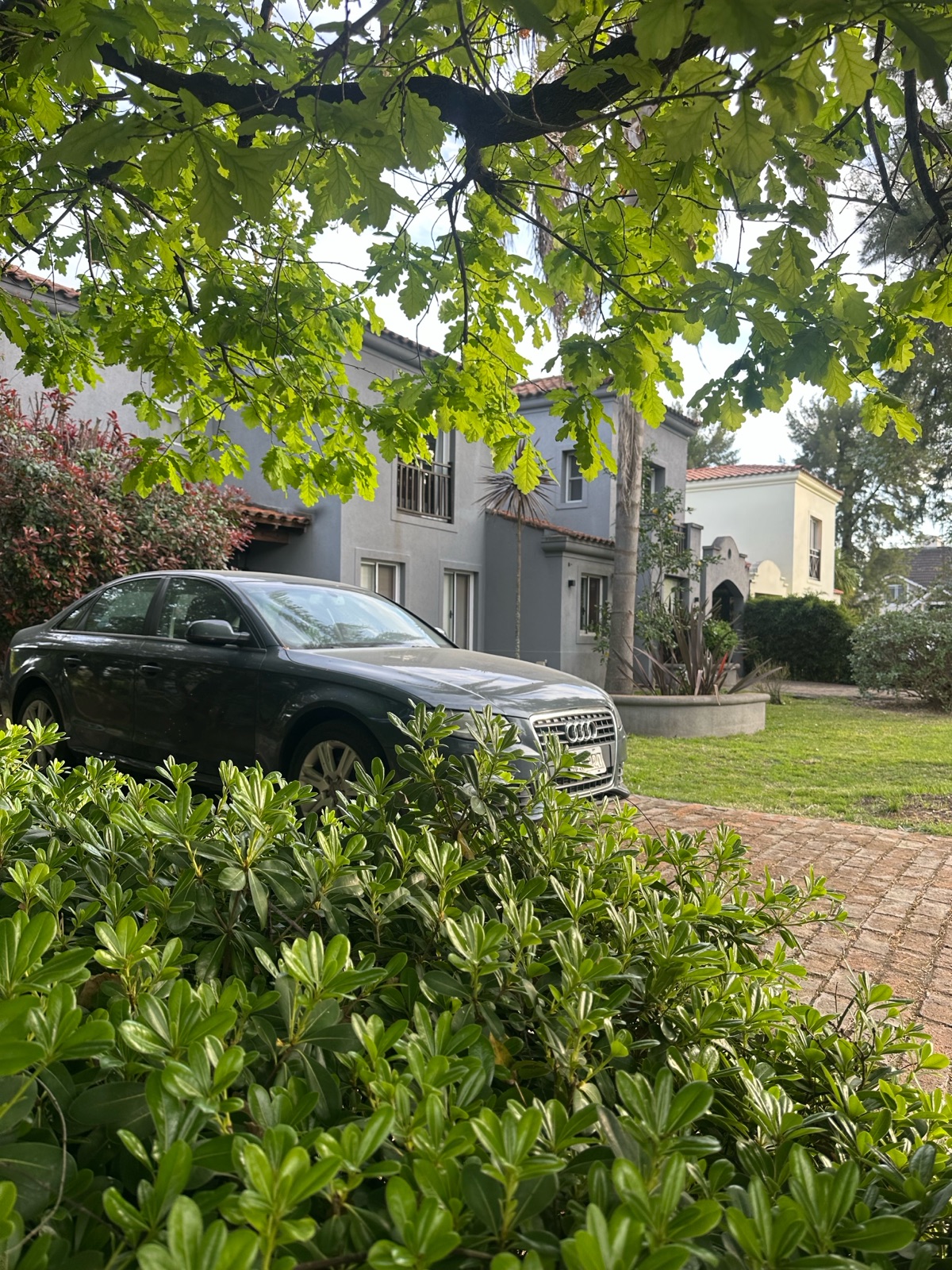 Foto 12
