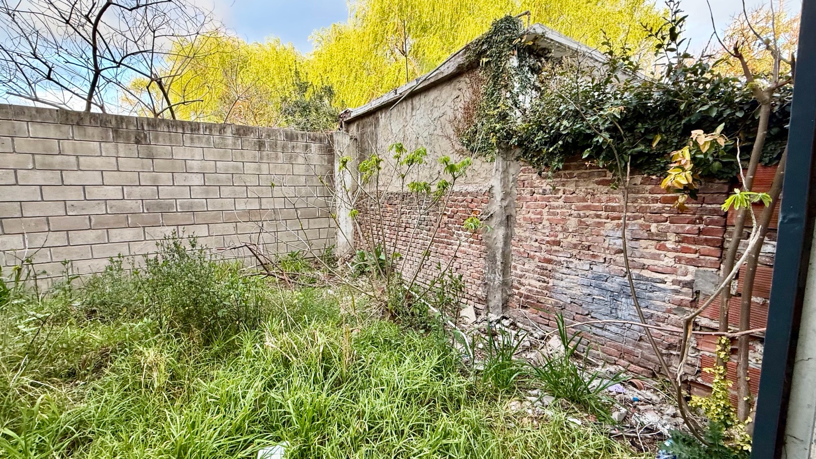 Foto 50