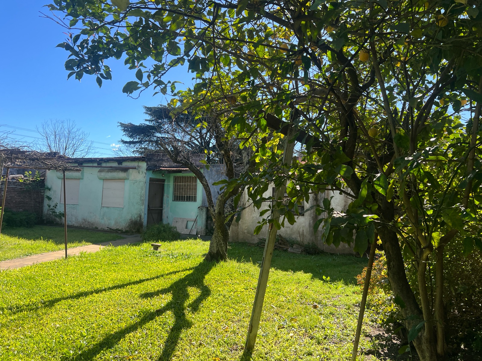 Foto 32