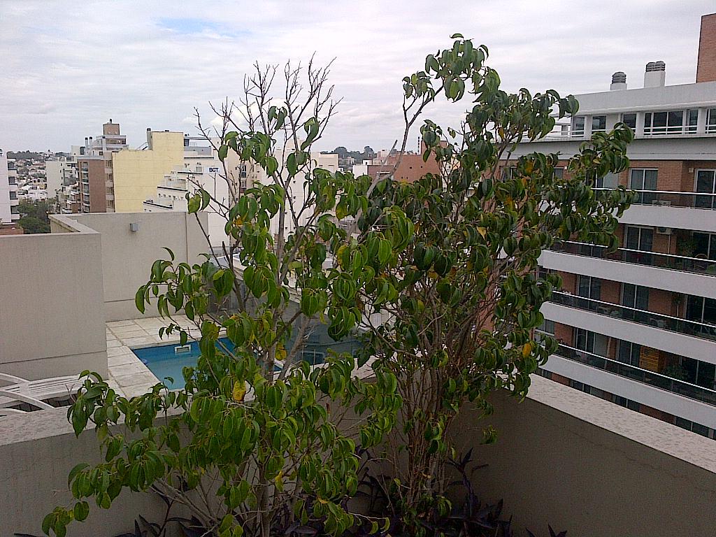 Foto 13