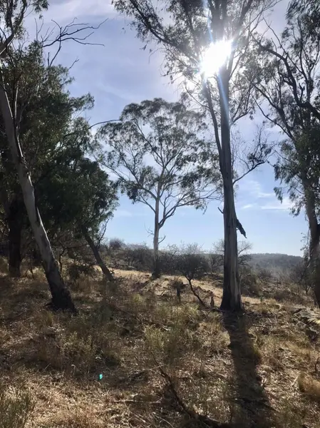 Terreno en venta · Villa Del Dique, Calamuchita, Córdoba