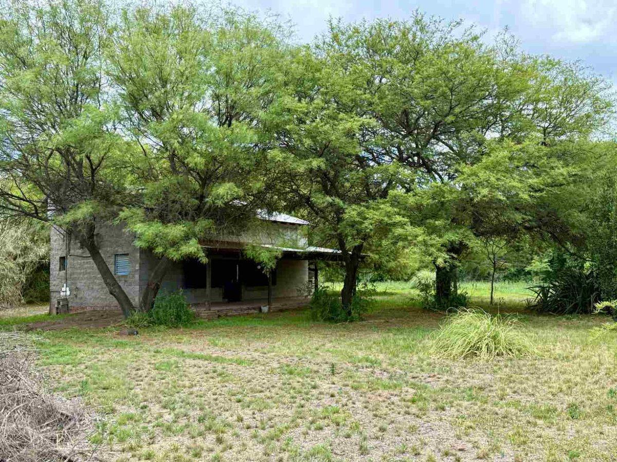 Foto 13