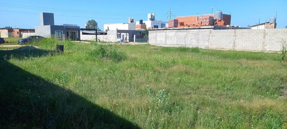 Foto 6