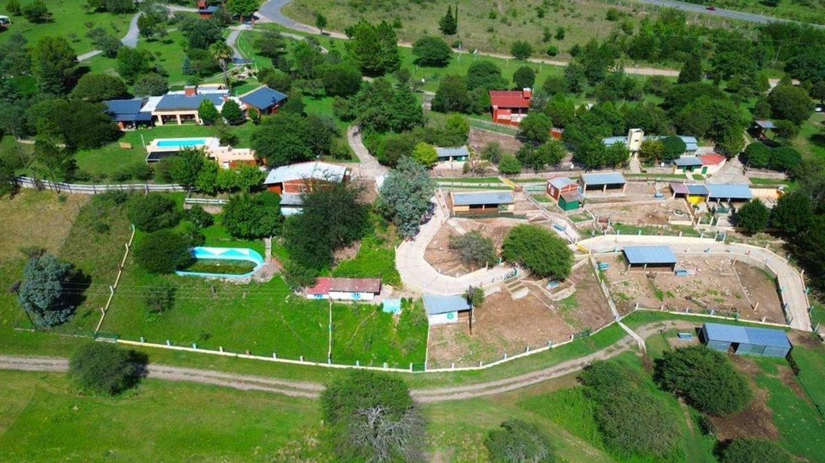 Foto 2
