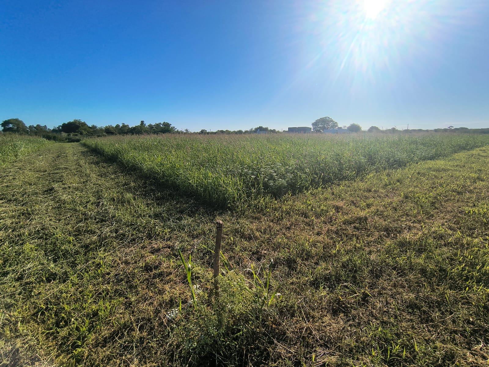 Terreno en venta · San Justo, Córdoba