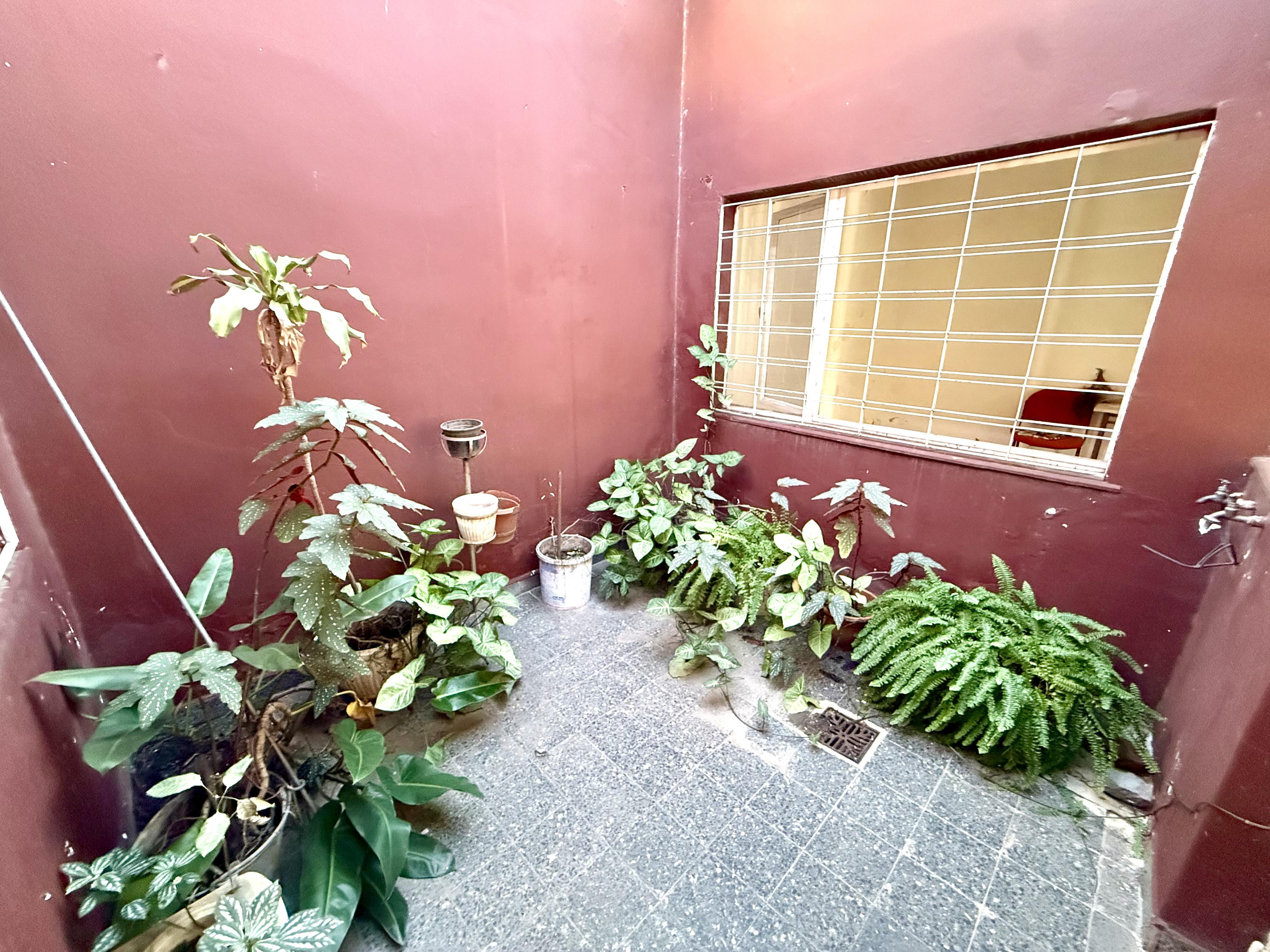 Foto 19