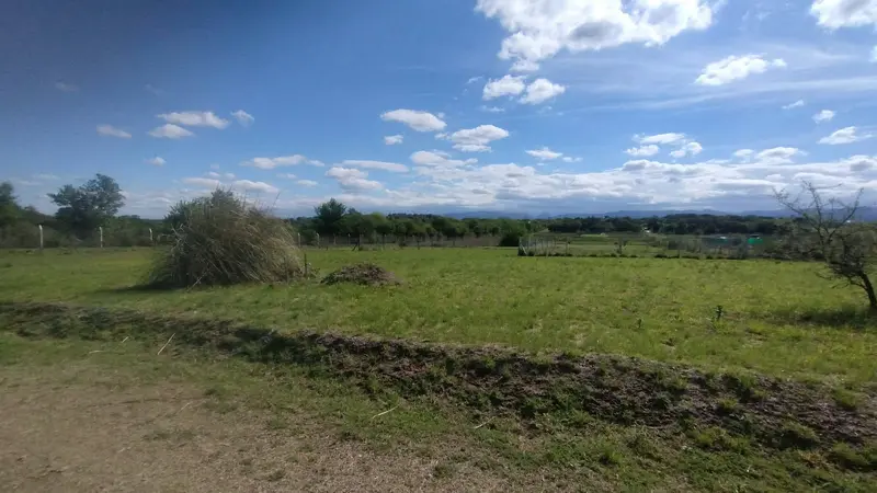 Foto 19