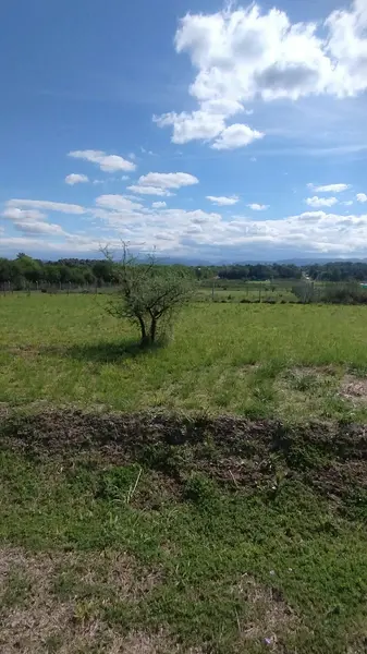 Foto 21
