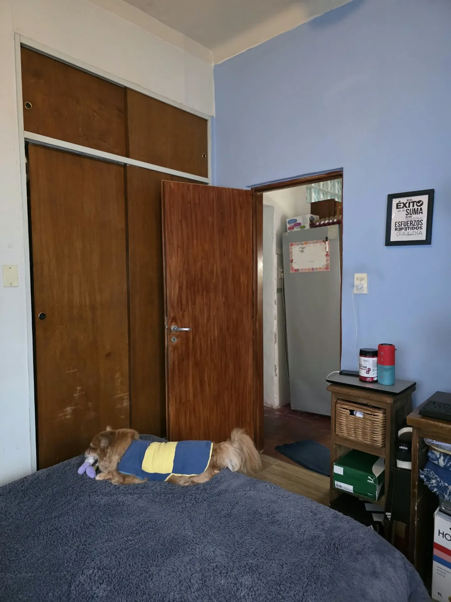 Foto 12
