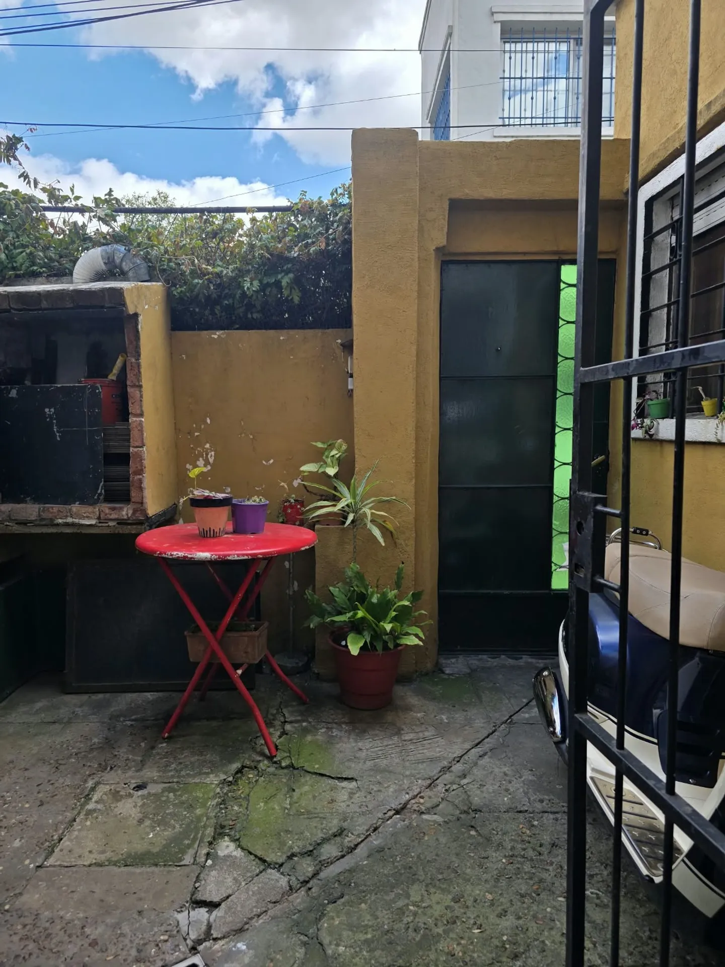 Foto 19
