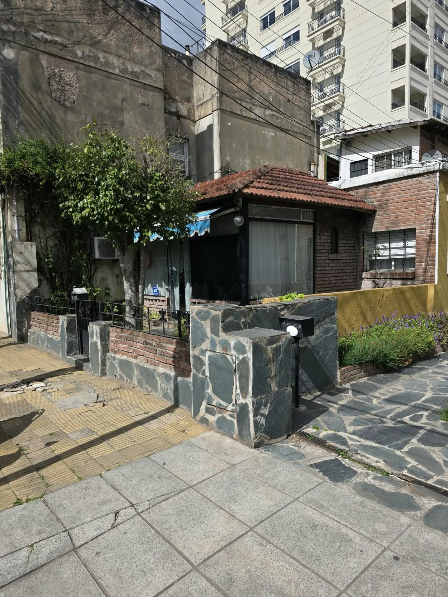 Foto 3