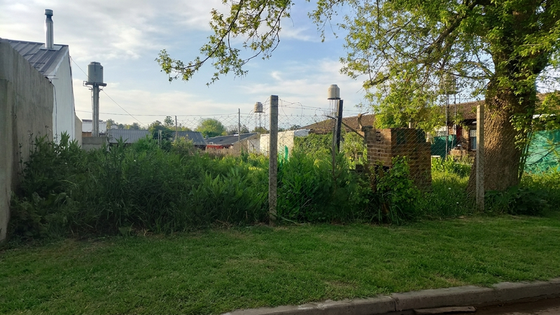 Foto 7