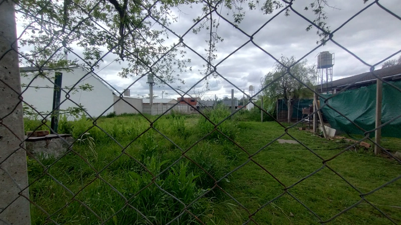 Foto 10