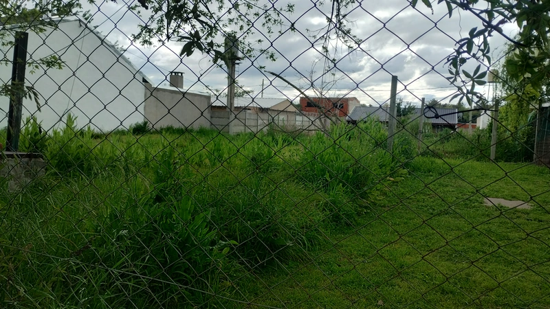 Foto 11