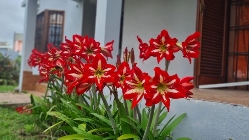 Foto 15