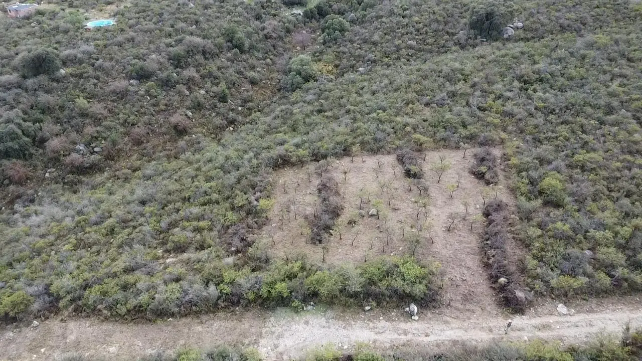 Foto 17