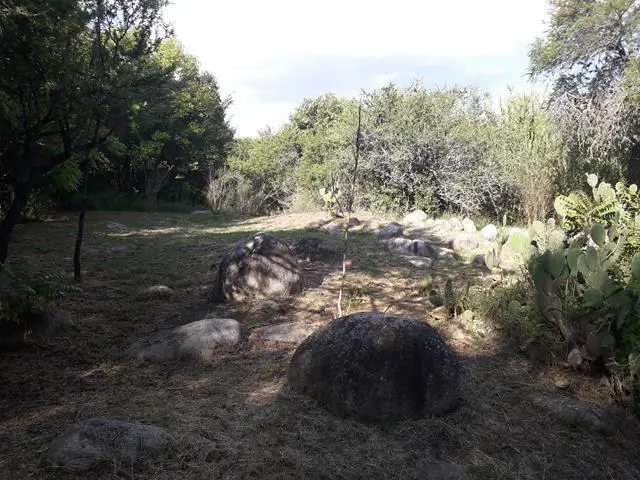 Foto 10