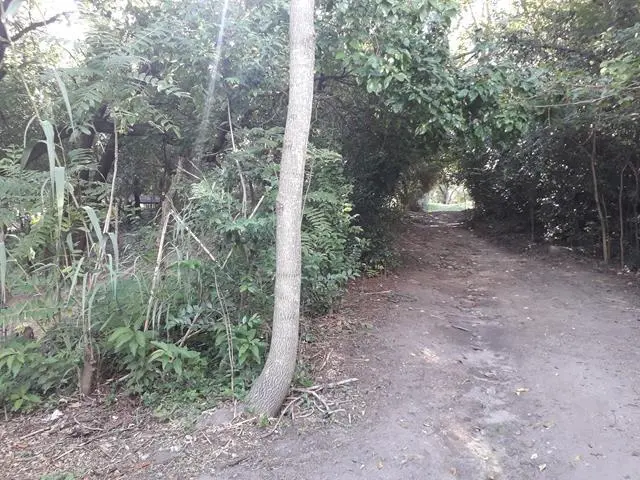 Foto 11