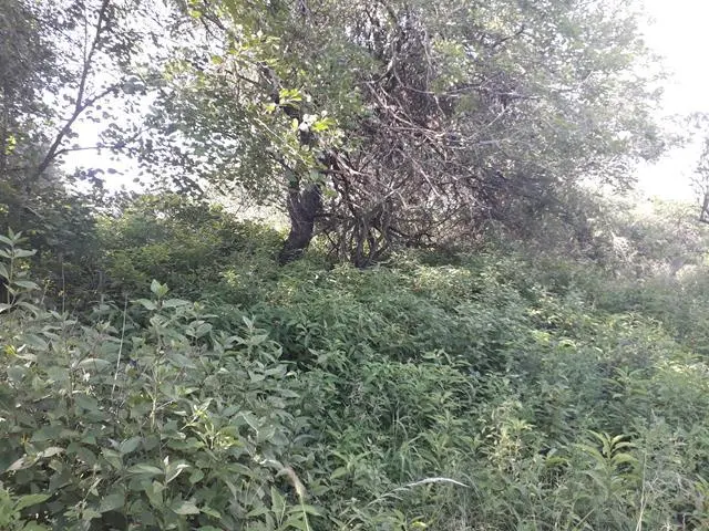 Foto 8