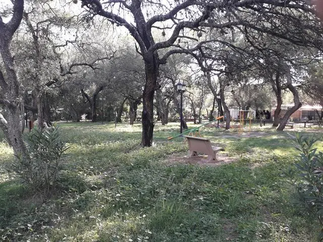 Foto 14