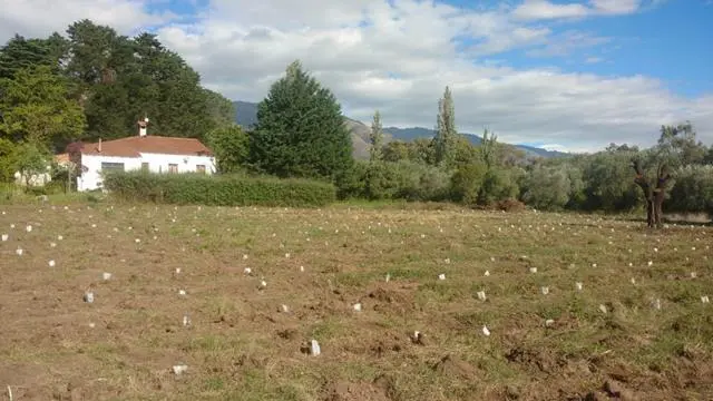 Foto 9
