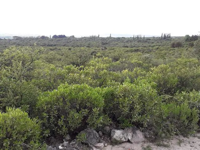 Terreno en venta · San Javier, Córdoba