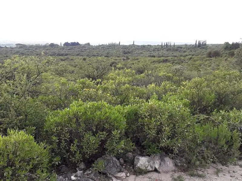 Terreno en venta · San Javier, Córdoba