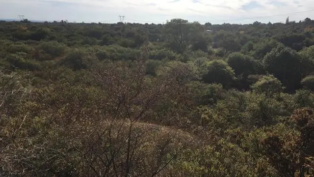 Foto 10