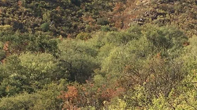 Foto 13