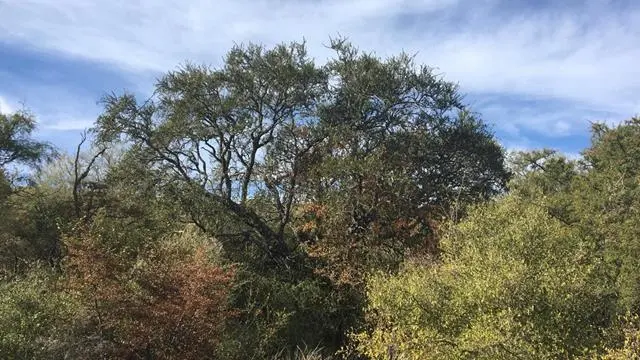 Terreno en venta · San Javier, Córdoba