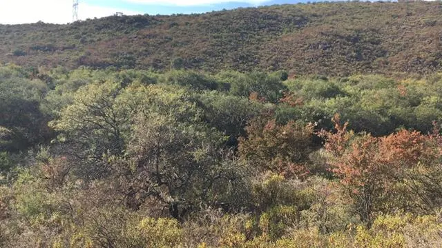 Terreno en venta · San Javier, Córdoba