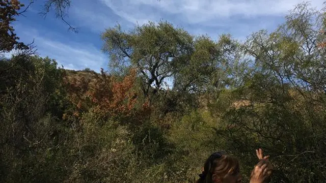 Foto 6