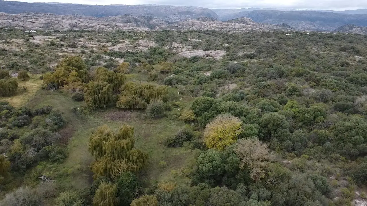 Foto 44