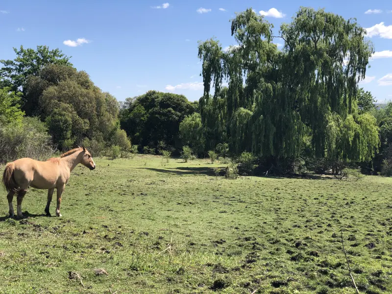 Terreno en venta · Mina Clavero, San Alberto, Córdoba