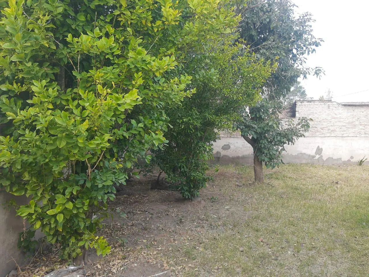 Foto 34