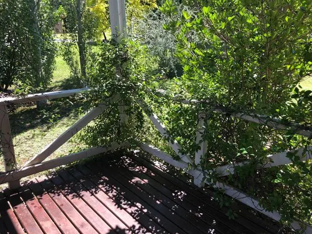 Foto 19