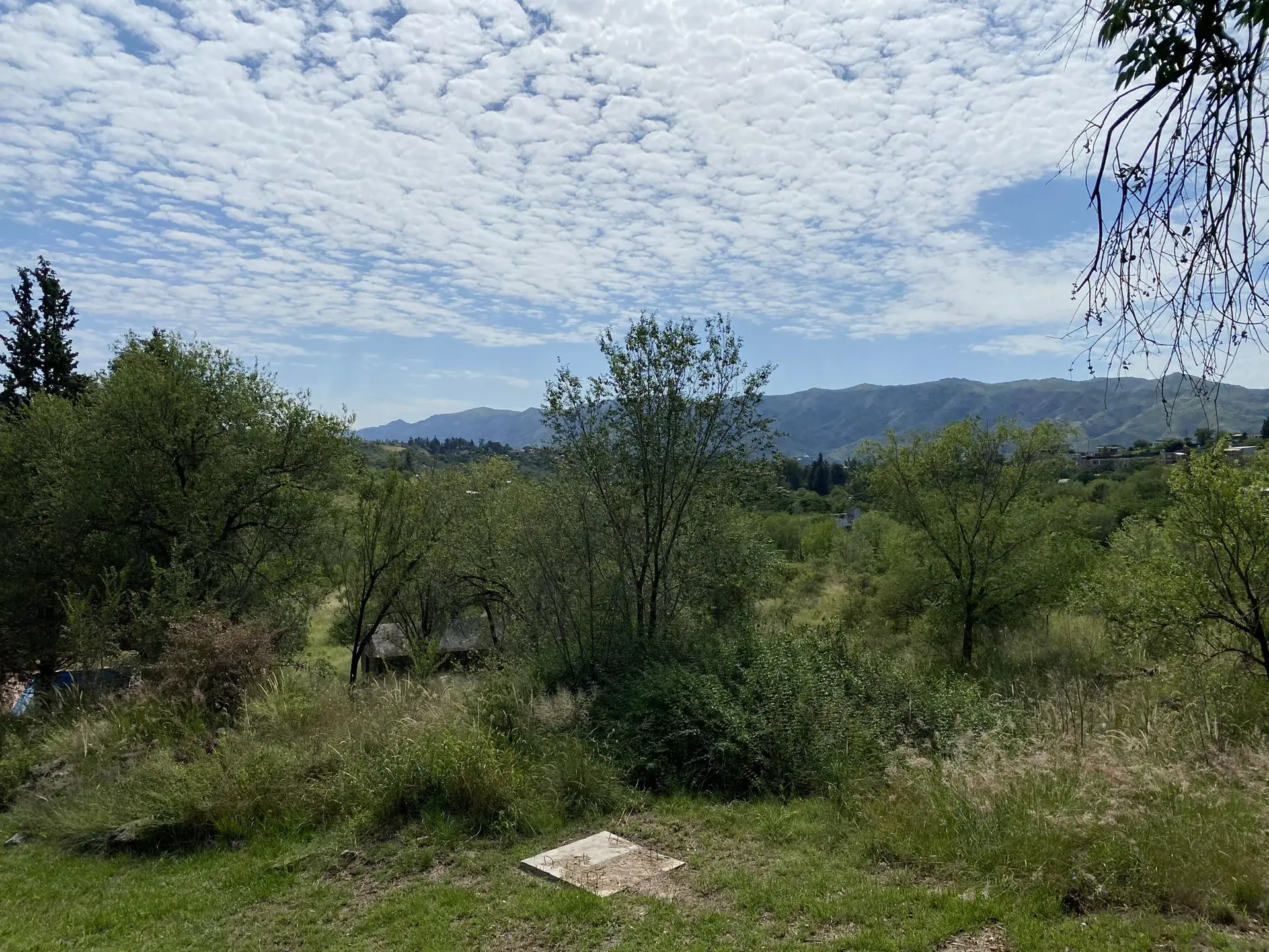 Foto 13