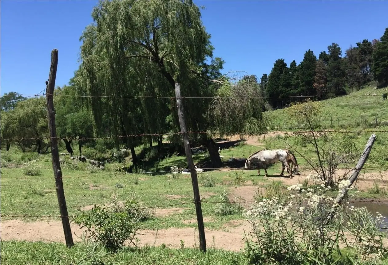 Foto 14