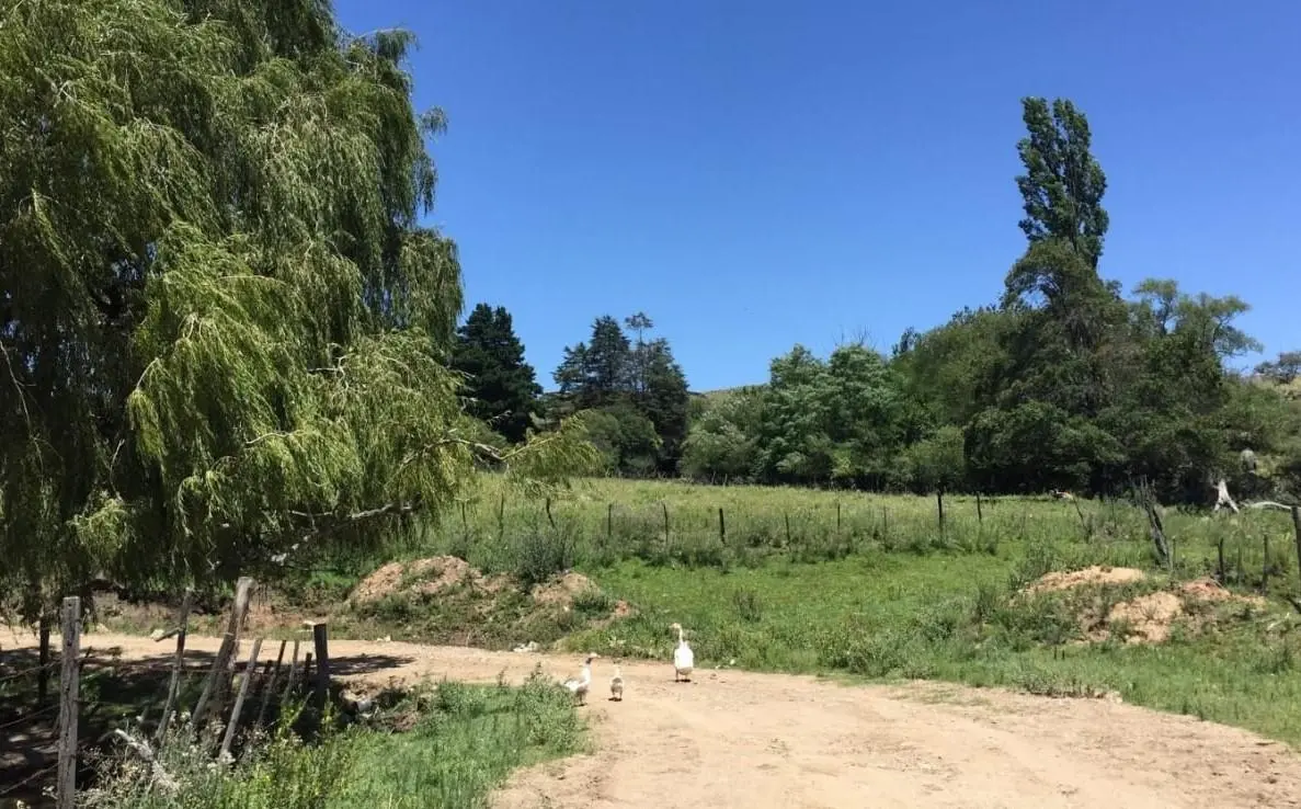 Foto 4