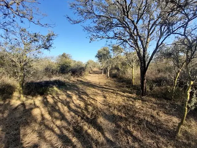 Terreno en venta · San Javier, Córdoba