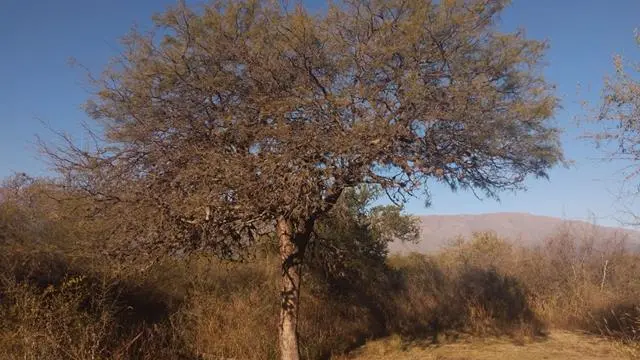 Foto 14